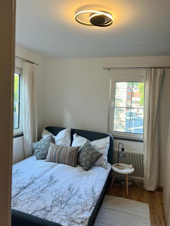 Moderne Ferienwohnung Nahe Zentrum Waidhofen/Ybbs Экстерьер фото